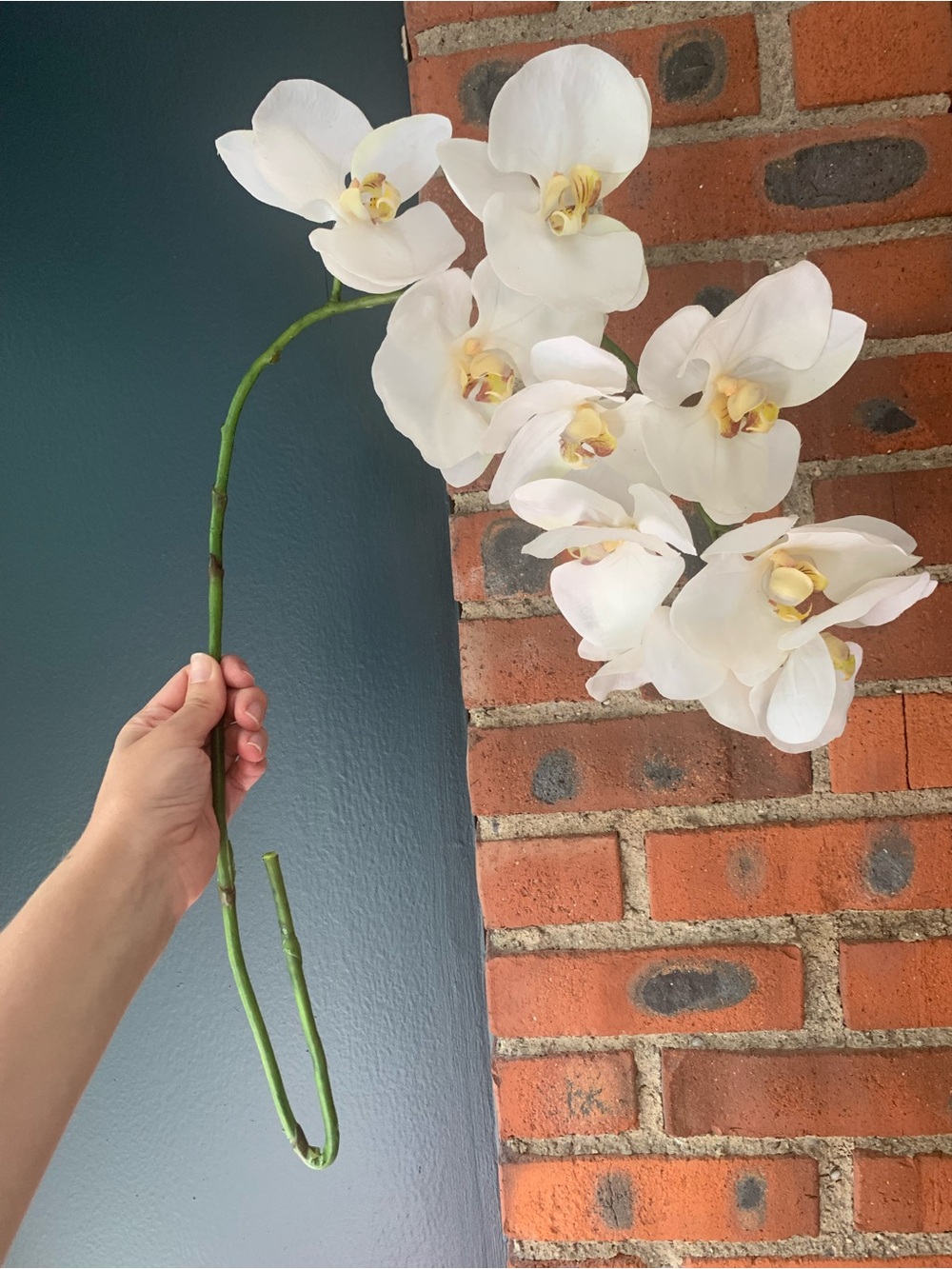 Crate & Barrel Faux Orchid Stem - Picture 4 of 6